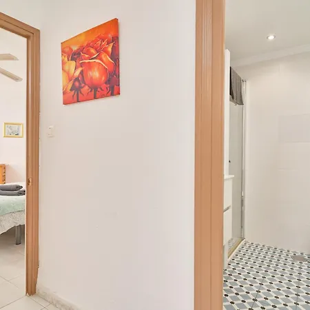 Large One Bed Nerja